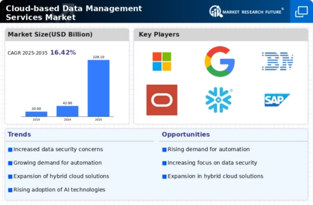 Cloud based Data Management Services Market Infographic