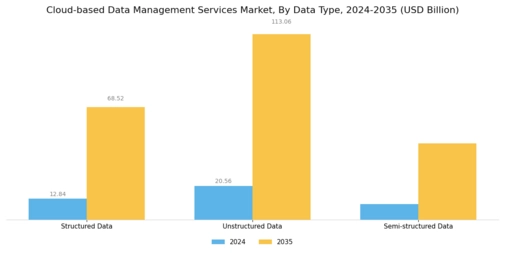 Cloud based Data Management Services Market Segment Image 1