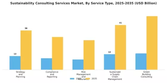 Sustainability Consulting Services Market Segment Image 0
