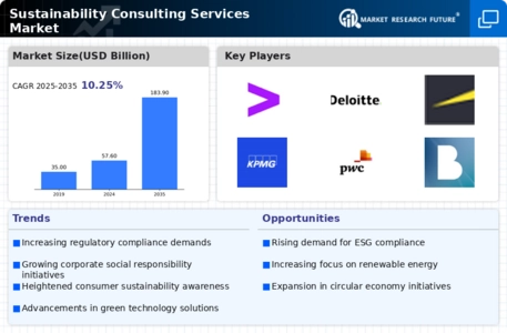 Sustainability Consulting Services Market Infographic