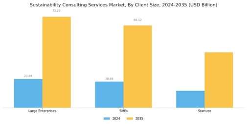 Sustainability Consulting Services Market Segment Image 3