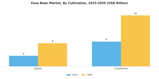 Fava Bean Market Segment Image 2