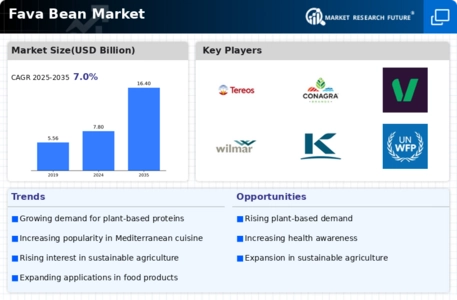 Fava Bean Market Infographic
