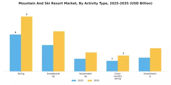 Mountain And Ski Resort Market
 Segment Image 0