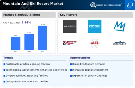 Mountain And Ski Resort Market
 Infographic
