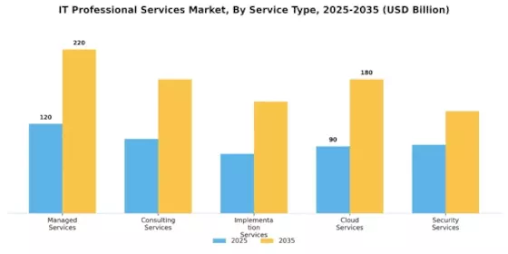 It Professional Services Market Segment Image 0
