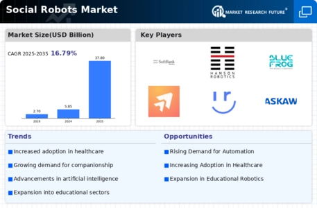 Social Robots Market Infographic