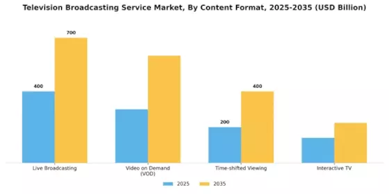 Television Broadcasting Service Market Segment Image 4