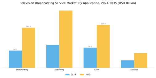Television Broadcasting Service Market Segment Image 0