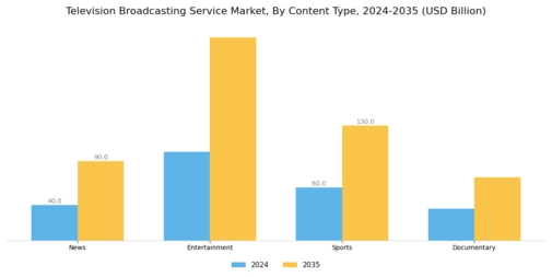 Television Broadcasting Service Market Segment Image 3
