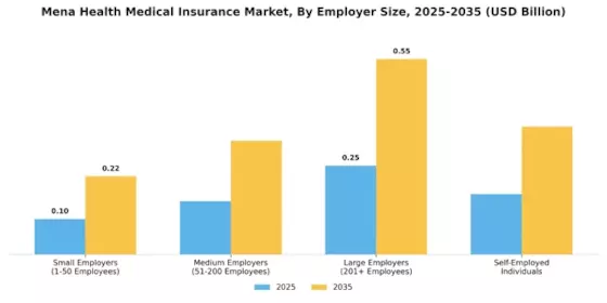 Mena Health Medical Insurance Market
 Segment Image 2