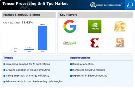 Tensor Processing Unit Market Infographic