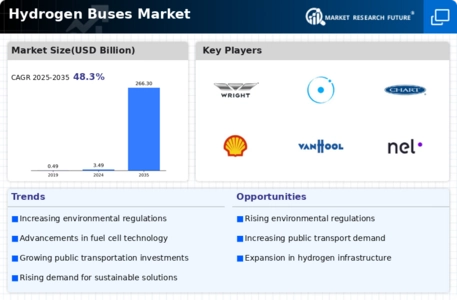 Hydrogen Buses Market Infographic