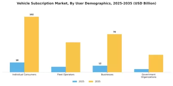 Vehicle Subscription Market Segment Image 2