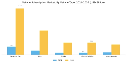 Vehicle Subscription Market Segment Image 1