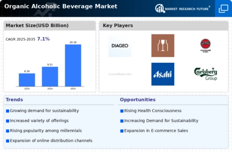 Organic Alcoholic Beverage Market  Infographic