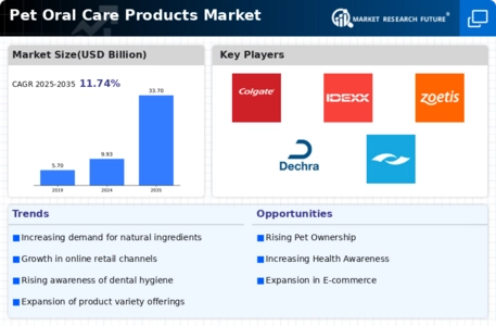 Pet Oral Care Products Market Infographic