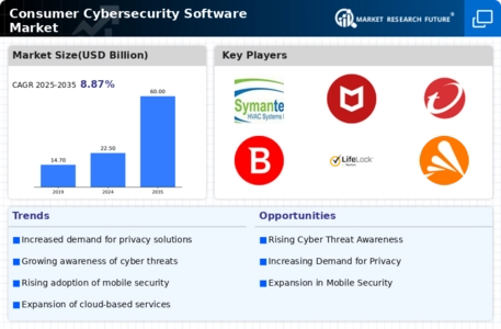 Consumer Cybersecurity Software Market Infographic