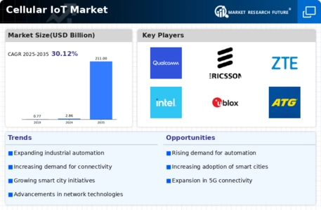 Cellular IoT Market Infographic