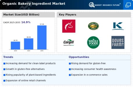 Organic Bakery Ingredient Market Infographic