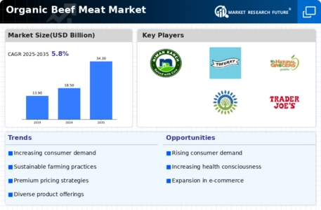 Organic Beef Meat Market  Infographic