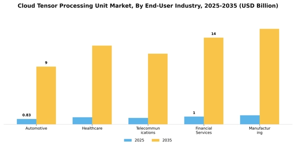 Cloud Tensor Processing Unit Market Segment Image 2