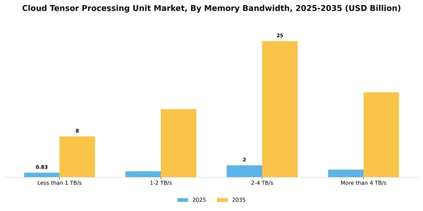 Cloud Tensor Processing Unit Market Segment Image 3