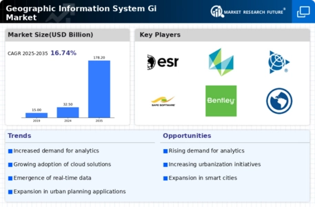 Geographic Information System Market Infographic