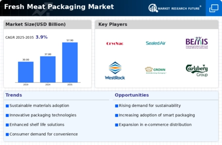 Fresh Meat Packaging Market Infographic