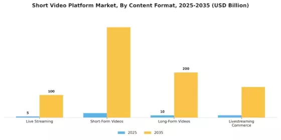 Short Video Platform Market  Segment Image 0