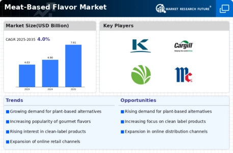 Meat-Based Flavor Market Infographic