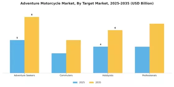 Adventure Motorcycle Market Segment Image 4