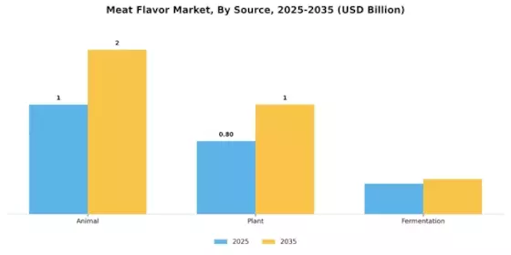 Meat Flavor Market Segment Image 0