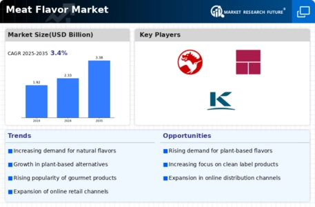 Meat Flavor Market Infographic
