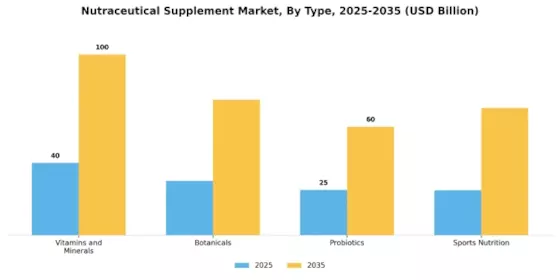 Nutraceutical Supplement Market Segment Image 0