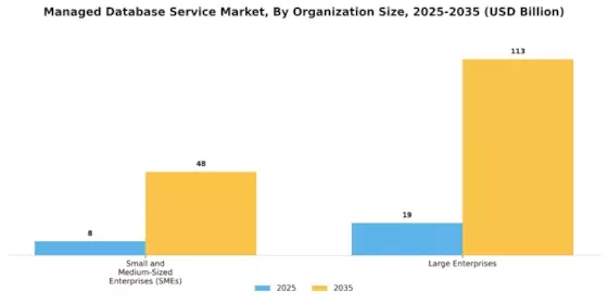 Managed Database Service Market Segment Image 3