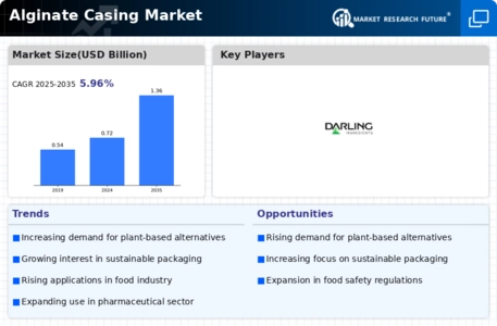 Alginate Casing Market Infographic