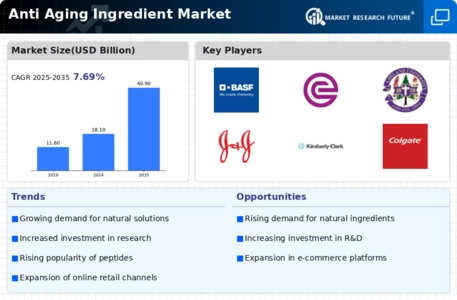 Anti Aging Ingredient Market Infographic