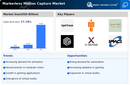 Markerless Motion Capture Market Infographic