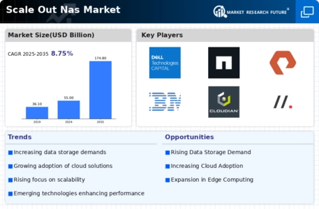 Scale Out Nas Market Infographic