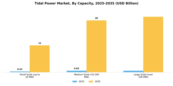 Tidal Power Market Segment Image 1