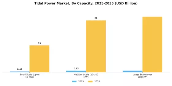 Tidal Power Market Segment Image 2