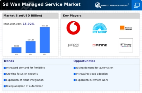 Sd Wan Managed Service Market Infographic