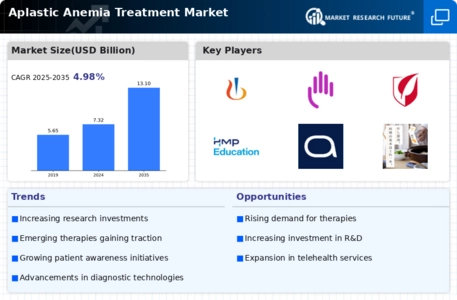 Aplastic Anemia Treatment Market Infographic
