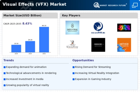 Visual Effects (VFX) Market Infographic