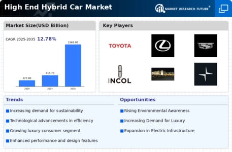 High End Hybrid Car Market Infographic