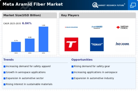 Meta Aramid Fiber Market Infographic