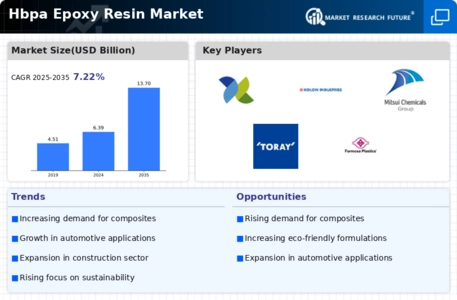 Hbpa Epoxy Resin Market Infographic