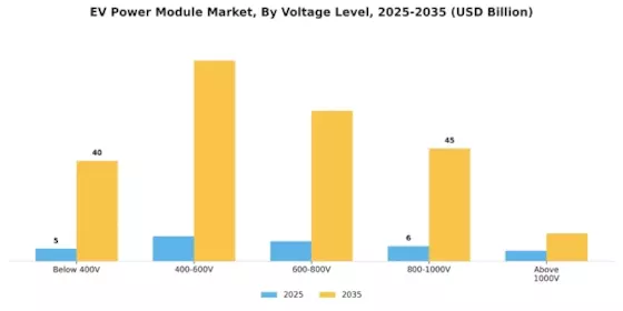 EV Power Module Market Segment Image 1