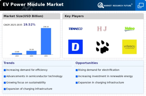 EV Power Module Market Infographic